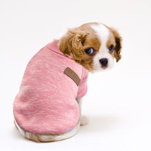Load image into Gallery viewer, Autumn Winter Cat Sweater Clothing Warm Pet Dog Clothes For Small Dogs Cats Chihuahua Pug Yorkies Kitten Outfit Cat Coat Costume
