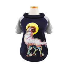 Load image into Gallery viewer, Lovely Cat Clothes Coat Pet Cat Dog Hoodies for Small Dog Kitty Winter Spring Pet Coat Jacket Cat Clothes Outfit 40
