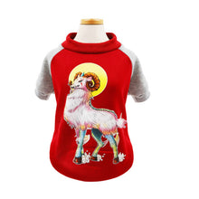 Load image into Gallery viewer, Lovely Cat Clothes Coat Pet Cat Dog Hoodies for Small Dog Kitty Winter Spring Pet Coat Jacket Cat Clothes Outfit 40
