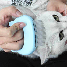 Load image into Gallery viewer, Pet Cat Grooming  Massage Brush with Shell Shaped Handle Hair Remover Pet Grooming Massage Tool  2  2 2 2 1
