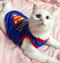 Load image into Gallery viewer, Funny Cat Clothes Costume Sex Nurse Policeman Suit Clothing For Cat Cool Halloween Costume Pet Clothes Suit For Cat XS-2XL 27S1
