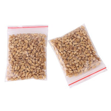 Load image into Gallery viewer, 300pcs/Pack Cat Grass 100% High Quality And High Survival Rate Natural Cat Grass Cat Hairball Control Toy
