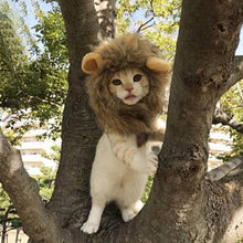 Load image into Gallery viewer, Funny Cute Pet Costume Cosplay Lion Mane Wig Cap Hat for Dog Cat Halloween Xmas Clothes Fancy Dress with Ears Autumn Winter
