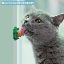 Load image into Gallery viewer, Healthy Cat Snacks Catnip Sugar Candy Licking Nutrition Gel Energy Ball Toy for Cats Kittens Increase Drinking Water Help Tool
