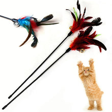 Load image into Gallery viewer, Cat Stick Interactive Feather Toy Cat Random Color Turkey Feather Funny Cat Toys Tease Cats Stick Pet Training Supplies Pet Tool
