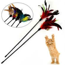 Load image into Gallery viewer, Cat Stick Interactive Feather Toy Cat Random Color Turkey Feather Funny Cat Toys Tease Cats Stick Pet Training Supplies Pet Tool
