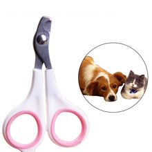 Load image into Gallery viewer, Multi-colors Pet Animal Dog Cats Bird Toe Claw Stainless Steel Grooming Nail Clippers Scissors Trimm Good Quality Dog Supplies
